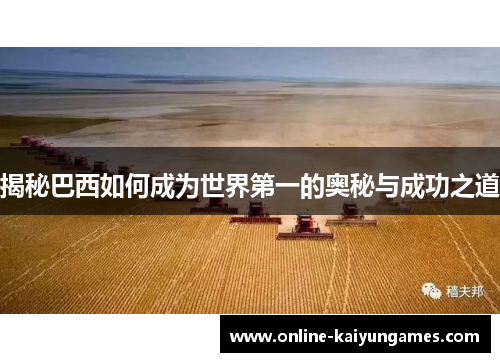 揭秘巴西如何成为世界第一的奥秘与成功之道